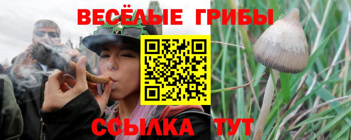 Галлюциногенные грибы ЛСД  Галлюциногенные грибы Cubensis  Семёнов  Вход с VPN 