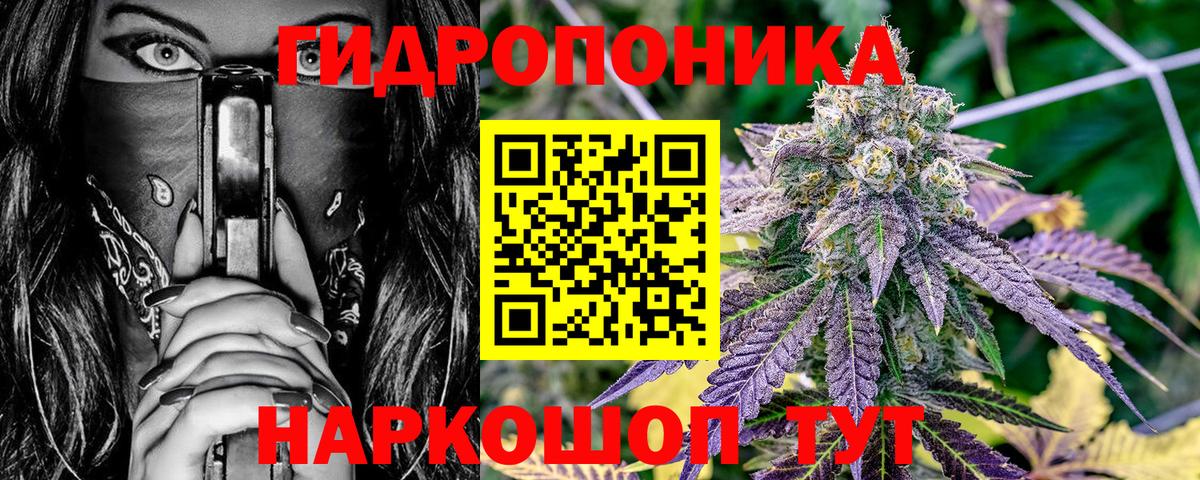 Бошки Шишки сатива  Шишки марихуана планчик  Вход с VPN  Бошки марихуана MAZAR  МАРИХУАНА марихуана  Семёнов 